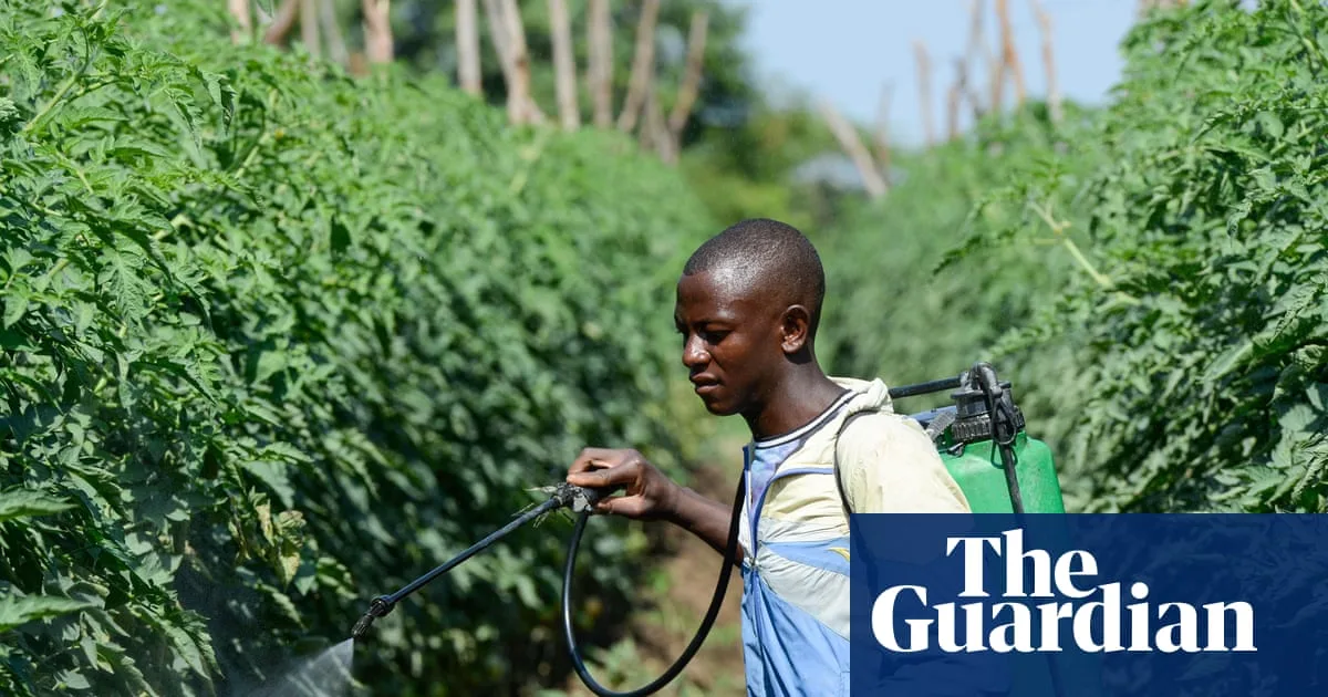 Iran Conflict Disrupts Fertiliser Supply to Africa