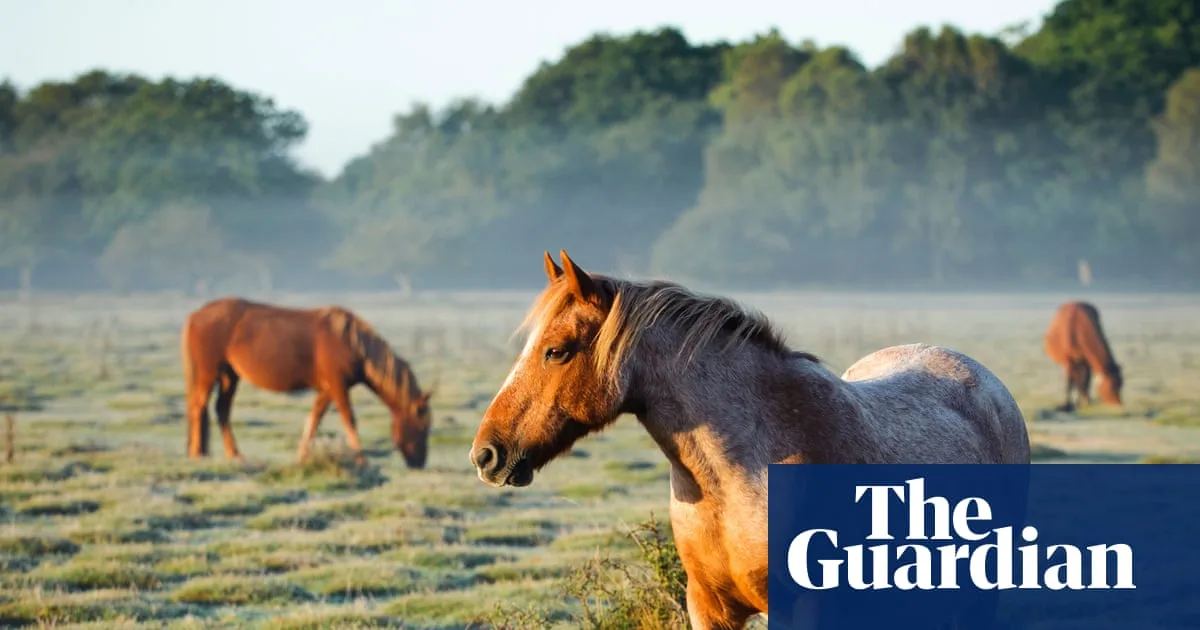 Italy Moves to Ban Horse Meat with New Equine Bill