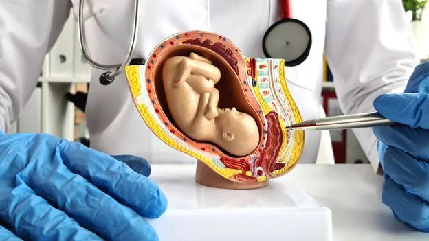 Artificial Placenta: A New Lifeline for Premature Babies?