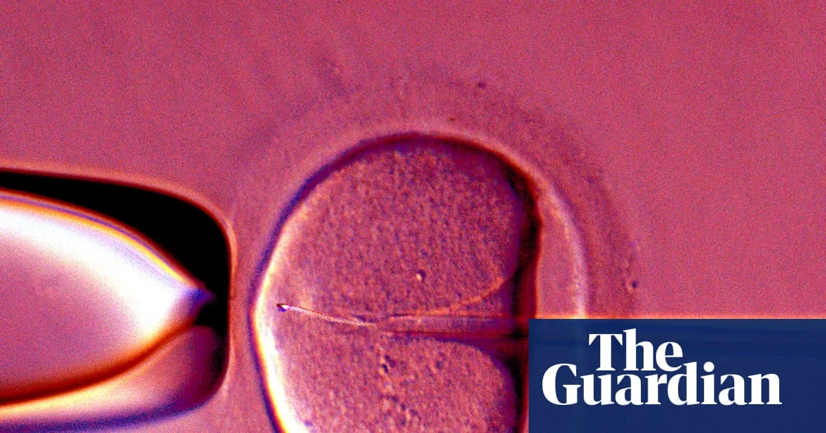Human eggs 'rejuvenated' in breakthrough that could boost IVF success rates