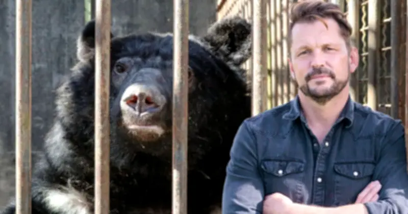 Jimmy Doherty's £500k Mission to Rescue Moon Bears from South Korea