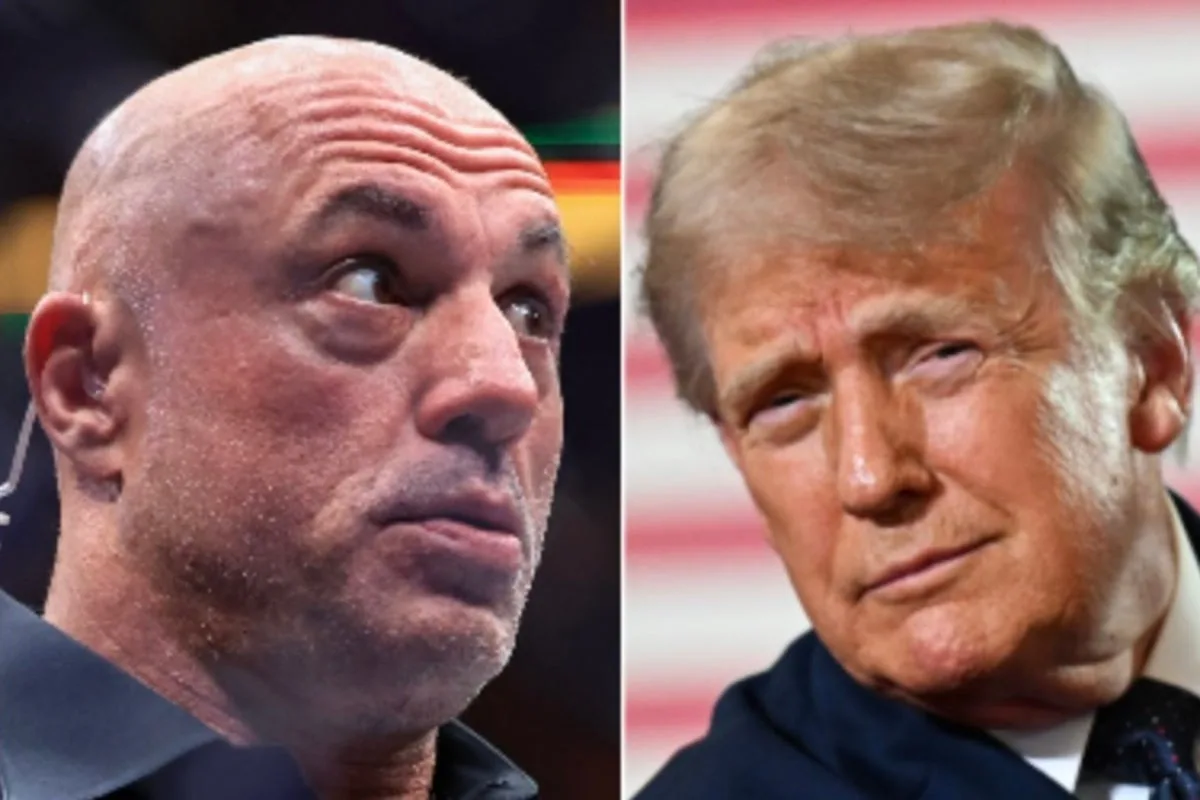 Joe Rogan mocks Trump's DOJ for 'forever barring' IRS audits of president and family