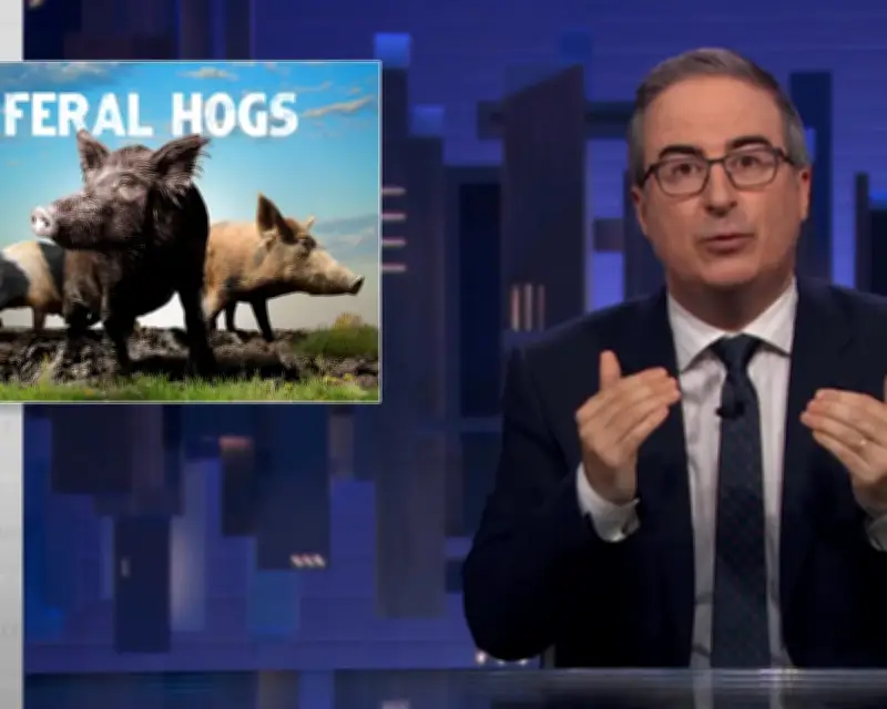 John Oliver on Feral Hogs: 'One of the Most Destructive Species in the Country'