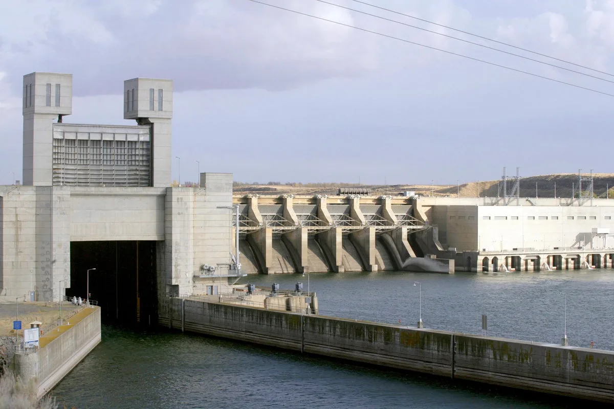 US Judge Orders Dam Changes to Protect Disappearing Salmon