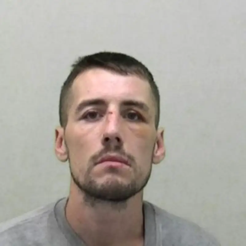 Judge Regrets Giving Chance to Newcastle Serial Burglar Who Terrified Mum and Son