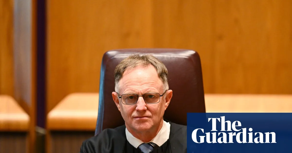 Judges become 'human filters' as AI use in Australian courts reaches 'unsustainable phase', chief justice warns