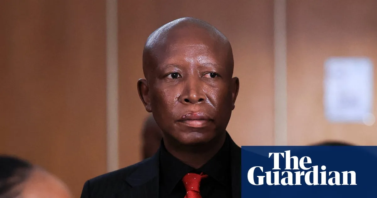 Julius Malema Sentenced to Five Years in Prison for Gun Offence