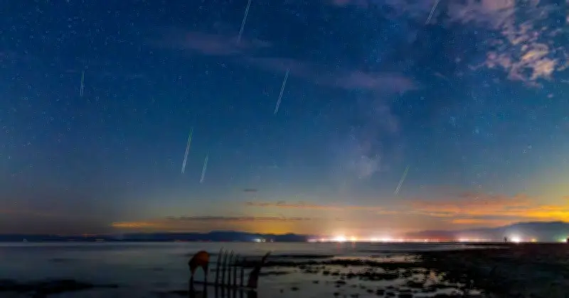 June Bootids Meteor Shower Peaks This Week: How to Photograph It on Your Phone
