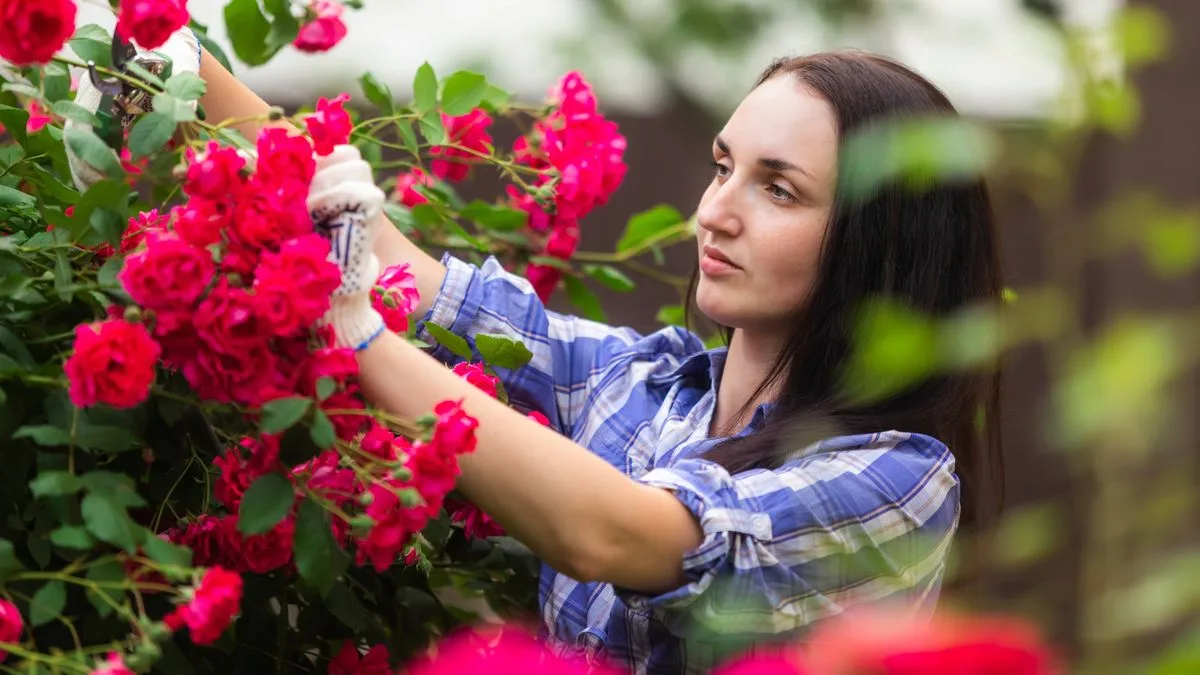 June Pruning Guide: Four Plants to Prune Now for Repeat Flowering All Year