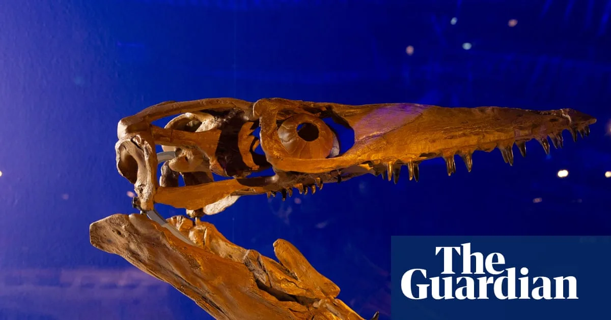 Jurassic Oceans: A Warning and Hope for Our Seas