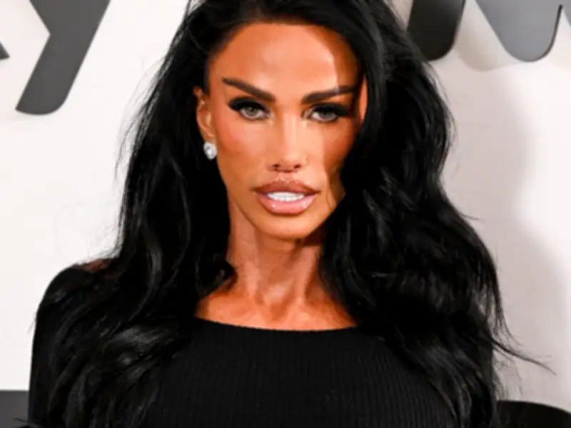 Katie Price Pleads for Return of Two Stolen Cats: 'They Are My Babies'