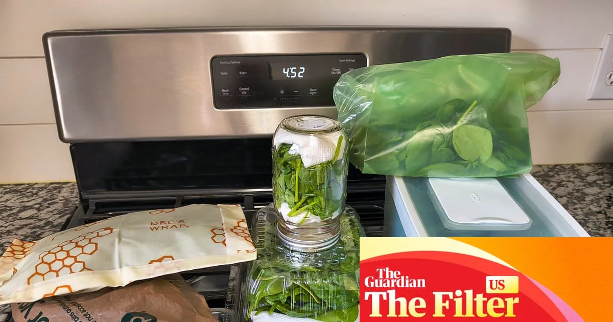 Expert Tested: Best Ways to Keep Leafy Greens Fresh Longer