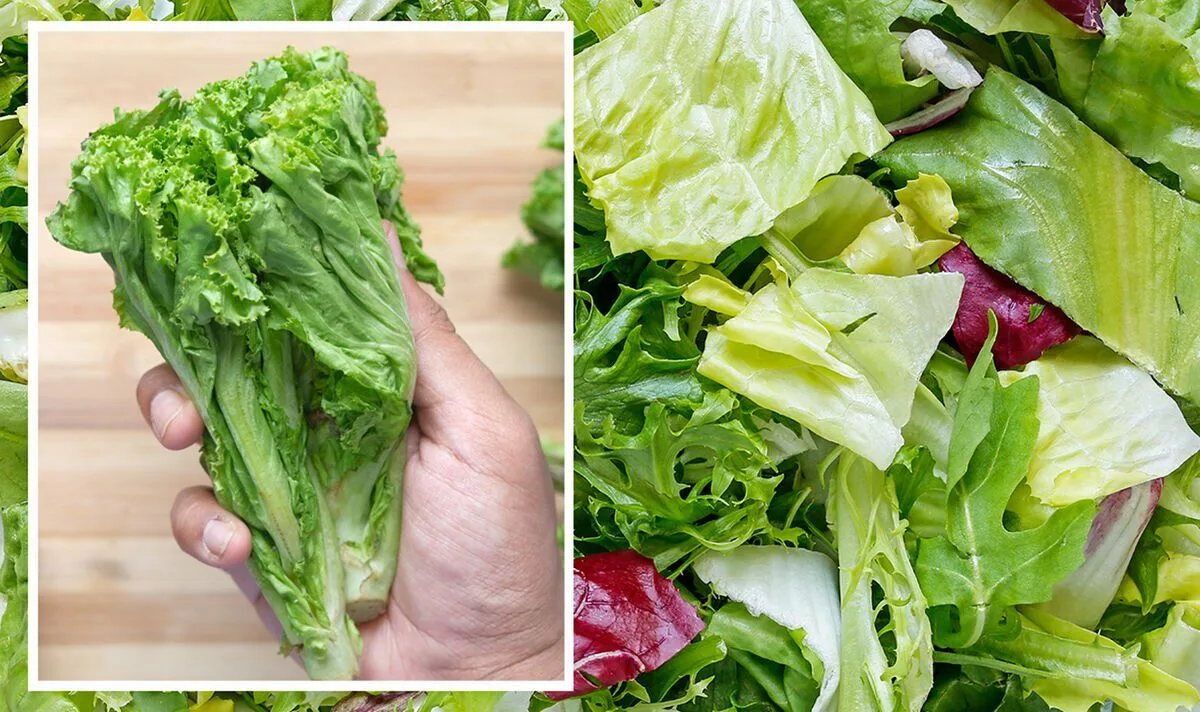 Keep Lettuce Crisp For 3 Weeks With This Simple Hack