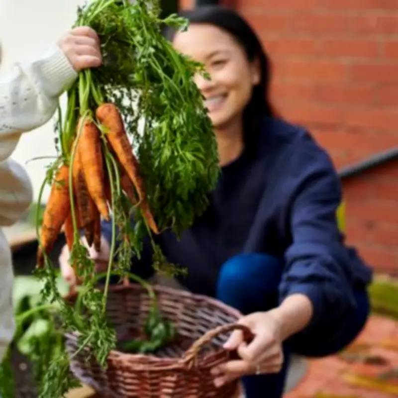 Keep Slugs Away from Vegetables with Eggshells and Natural Traps