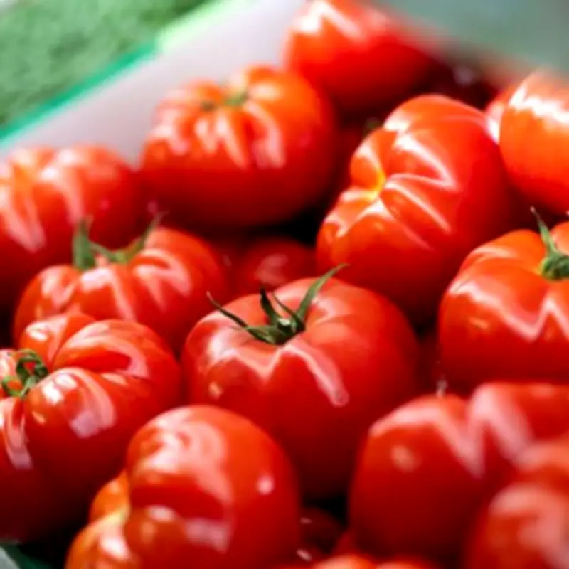 Keep Tomatoes Fresh for 2 Weeks With Simple Storage Tips
