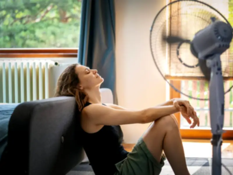 Keep Your Home Cool During Heatwave Without AC or Fans: 3 Steps