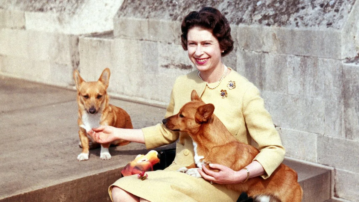King Charles Named Patron Of New Queen Elizabeth Trust Charity