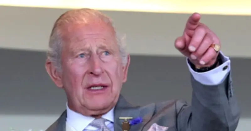 King Charles' Unmet Plea: Harry and William Remain Estranged
