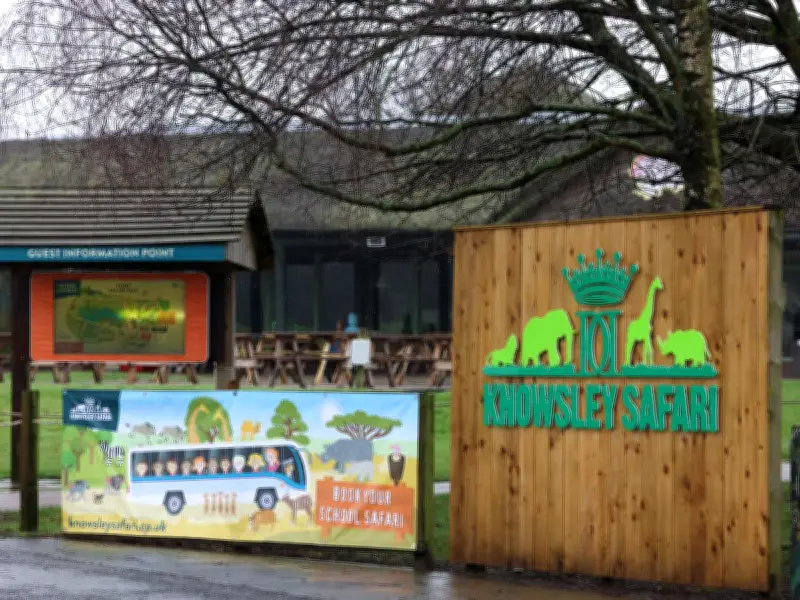 Knowsley Safari Park Welcomes Two Rare Bactrian Camel Calves