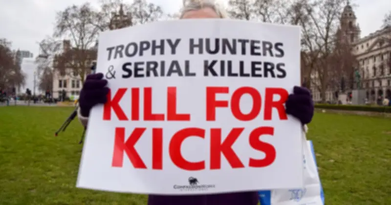 Labour's Trophy Hunting Hypocrisy: 33 Import Permits Issued Despite Ban Promise
