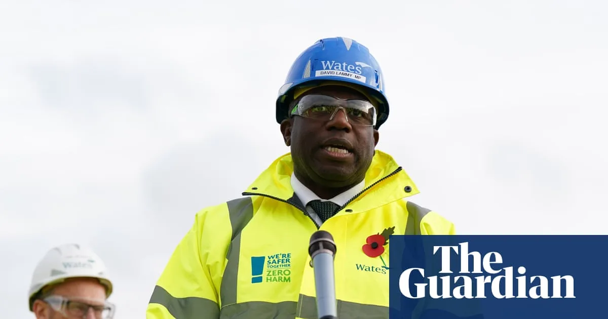 Lammy Defends Handling of Mistaken Prisoner Release Amid Crisis