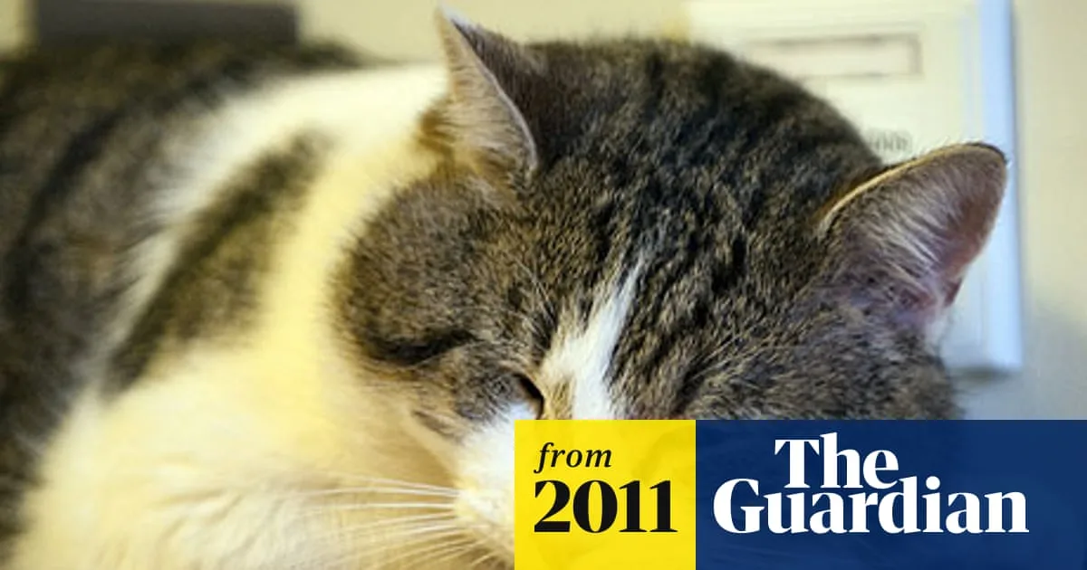 Larry the No 10 Cat Finally Catches First Mouse After Two Months