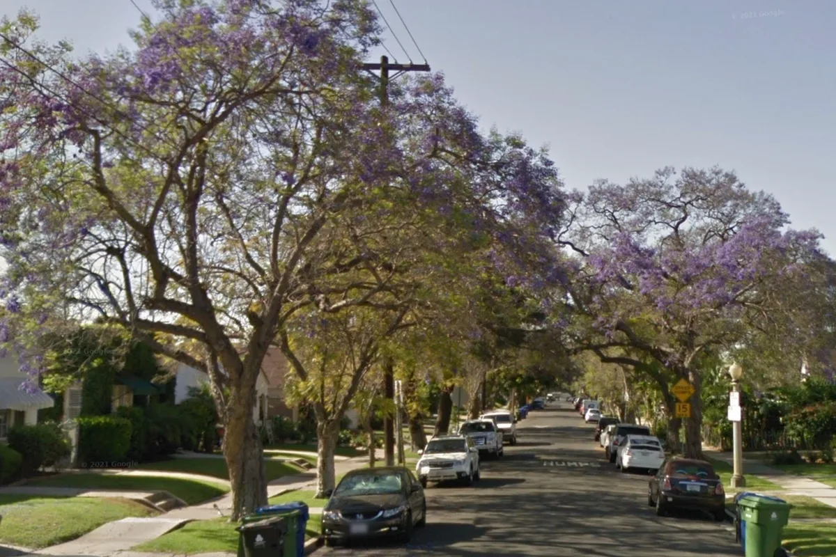 Larchmont Village Residents Complain of Sex Worker Influx