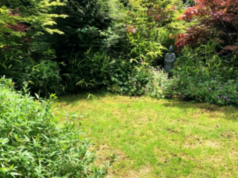 Lawns Grow Thicker Greener Grass with Epsom Salt Monthly