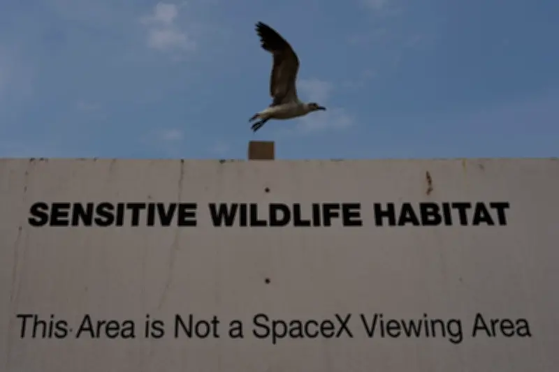 Lawsuit Challenges Trump Land Swap Giving SpaceX Texas Wildlife Refuge