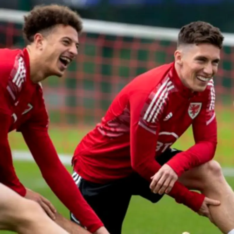 Leeds United Favourites to Sign Harry Wilson as Key Factor Emerges