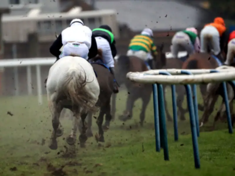 Leicester Racecourse Fined £5,000 for Failing to Screen Fatally Injured Horse