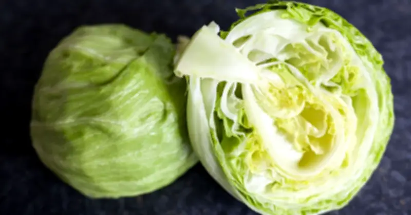 Lettuce Stays Fresh 10 Days Longer with Paper Towel Trick
