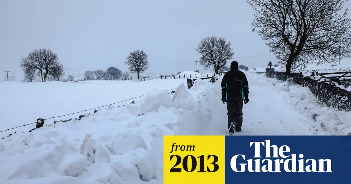 Lidl Christmas 2024 Opening Hours Guide