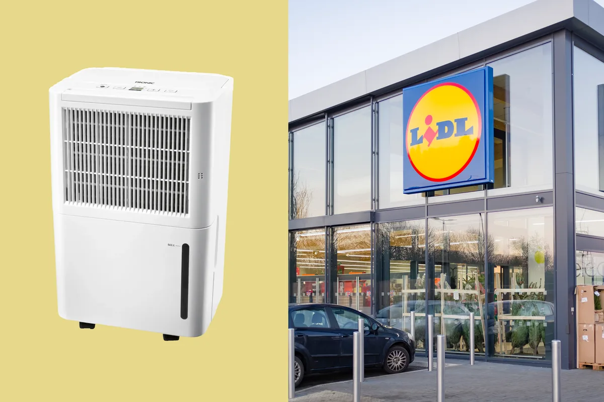 Lidl's £75 Dehumidifier Promises to Dry Clothes and Cut Energy Bills