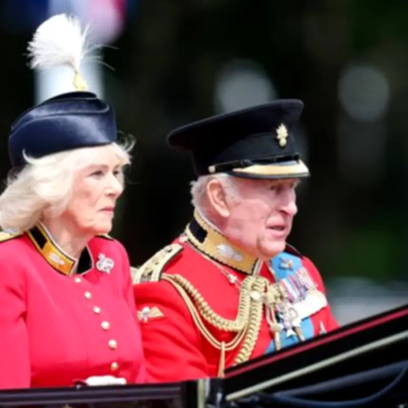 Lip Reader Reveals King Charles' Fuming 'Right Mess' Comment at Trooping the Colour