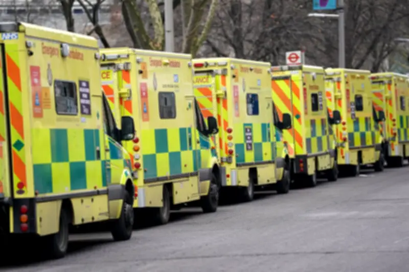London Ambulance Service Busiest Day Ever in Record 36C Heatwave