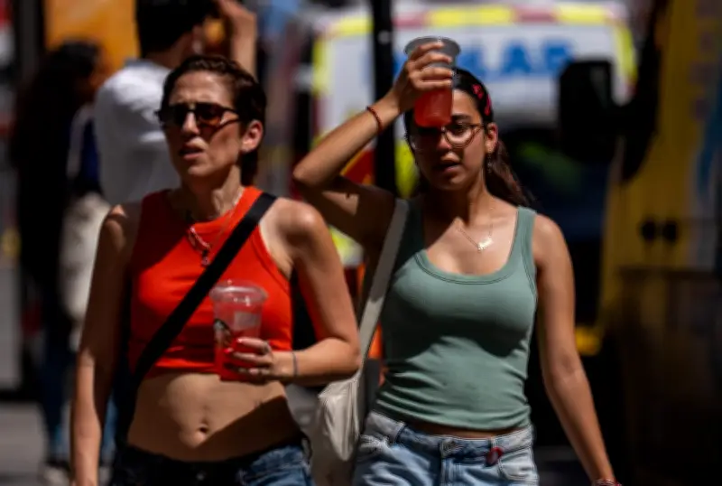 London Heatwave Meltdown: Shops, Schools Close as Temperature Hits Record