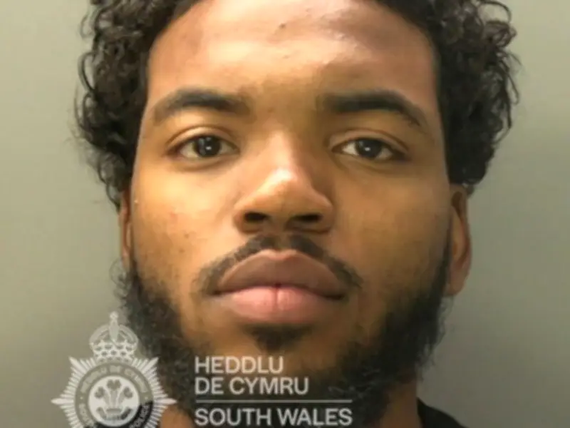 London trio caught with £90k cannabis haul after police chase in Wales