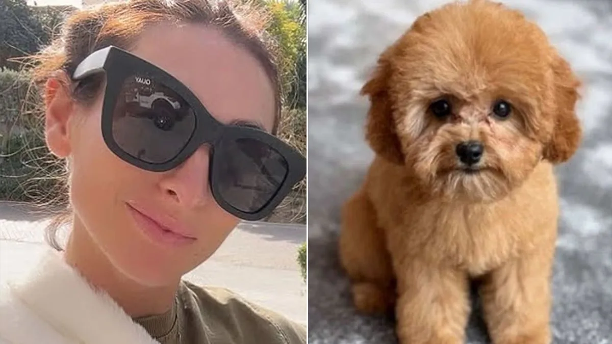 Luisa Zissman Seeks Private Jet for Dog After Dubai Flee