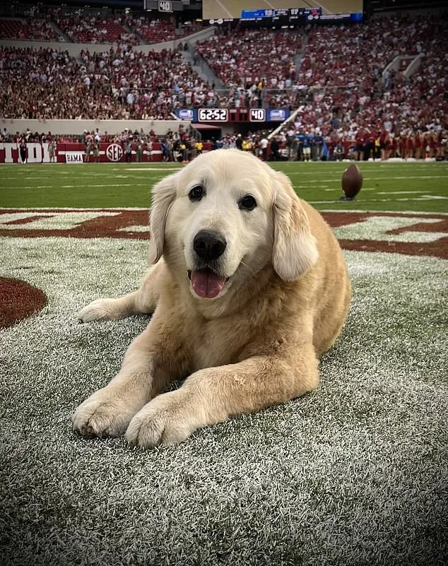 Kirk Herbstreit receives heartfelt letter from President Biden after death of his dog Ben