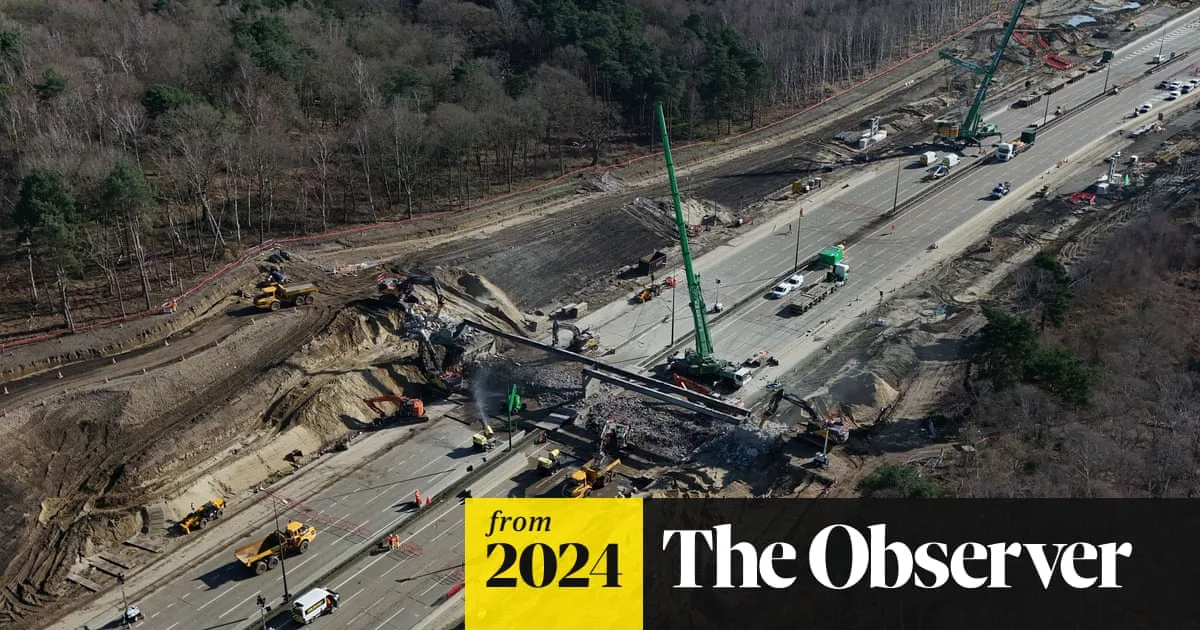 M25 Closure Causes Five-Mile Queues in Surrey