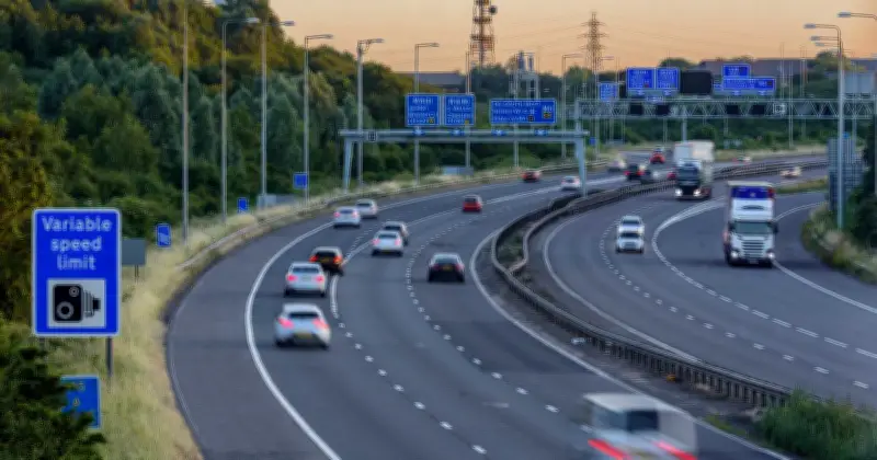 M5's Secret Junction and Abandoned Road Revealed by YouTubers