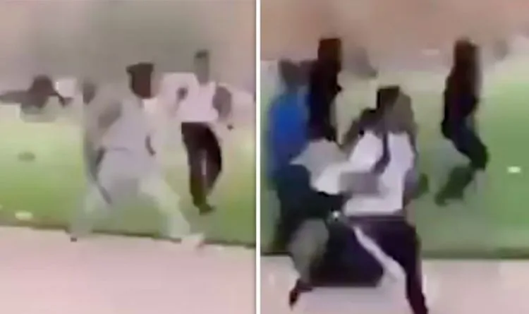 Machete Brawl In South London Park Exposes Gang Violence
