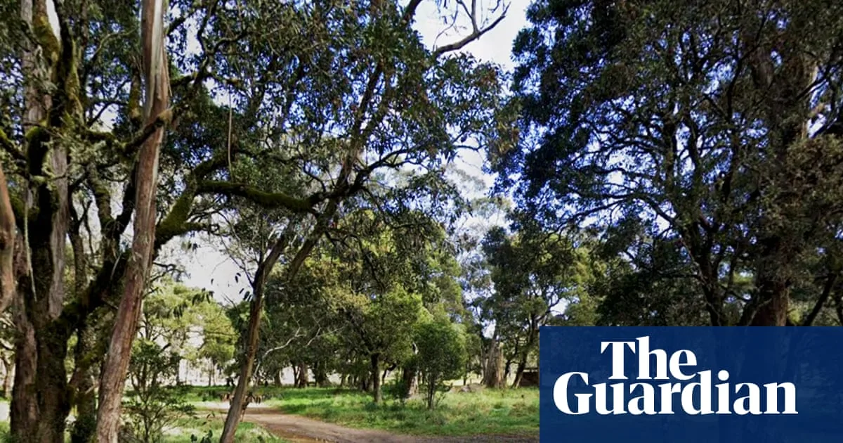 Man Charged with Murder After Axe Attack at NSW Campground
