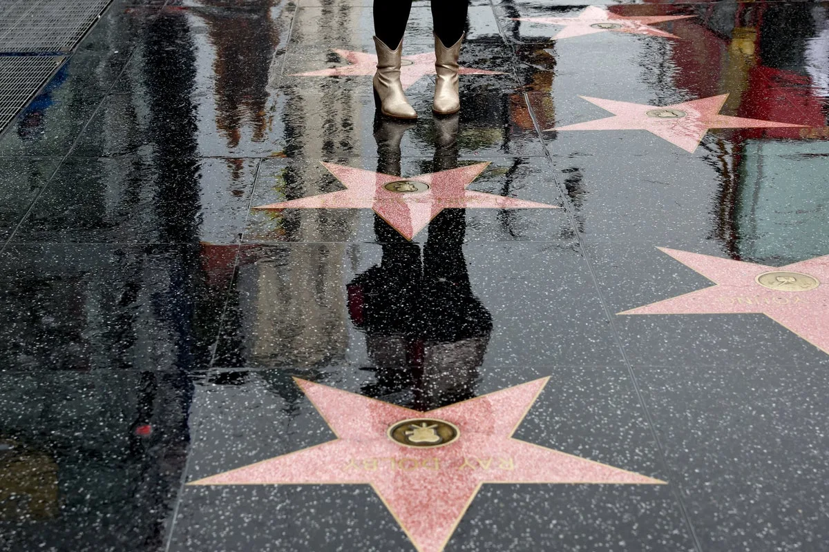 Man Charged with Murder in Hollywood Walk of Fame Dog Attack
