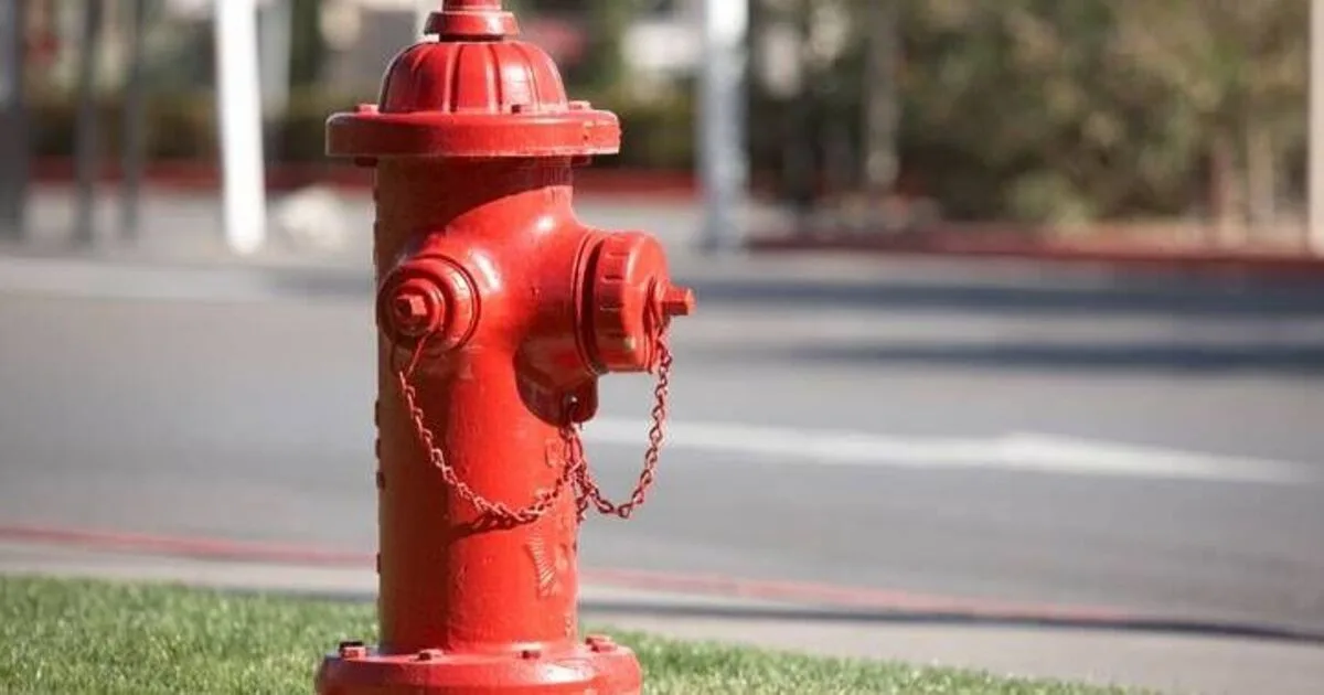Man Killed by Flying Fire Hydrant in Freak Accident