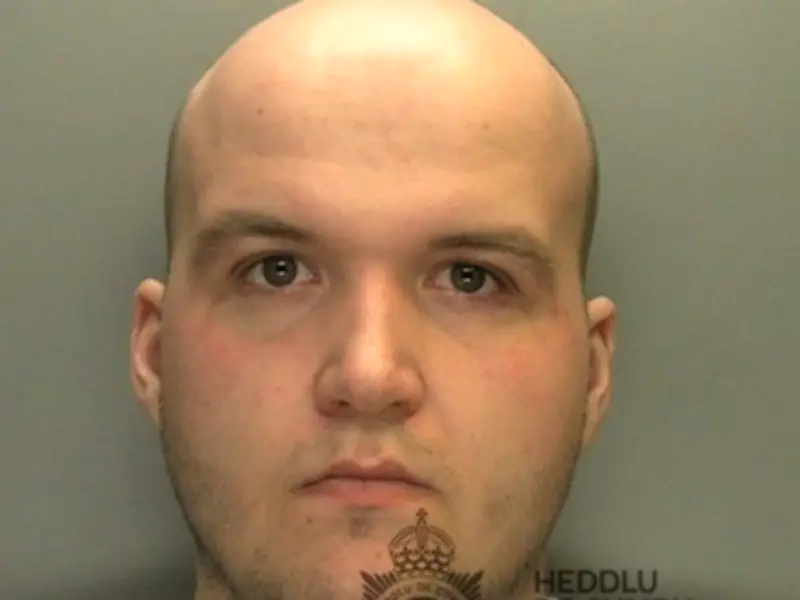 Man Offered £60 to Girls in Cardiff Park for Sex, Jailed