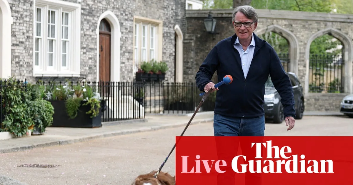 Mandelson Vetting Row Deepens as Thornberry Questions 'Borderline' Claim