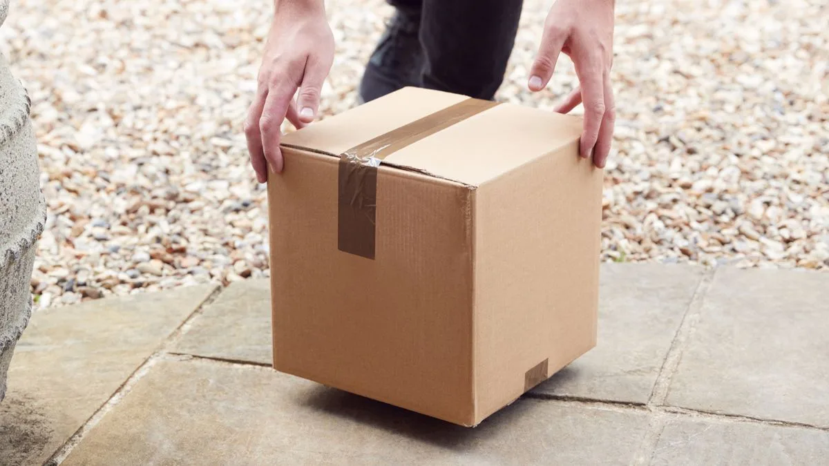 Man's £8 Temu Bin Purchase Sparks Viral Debate