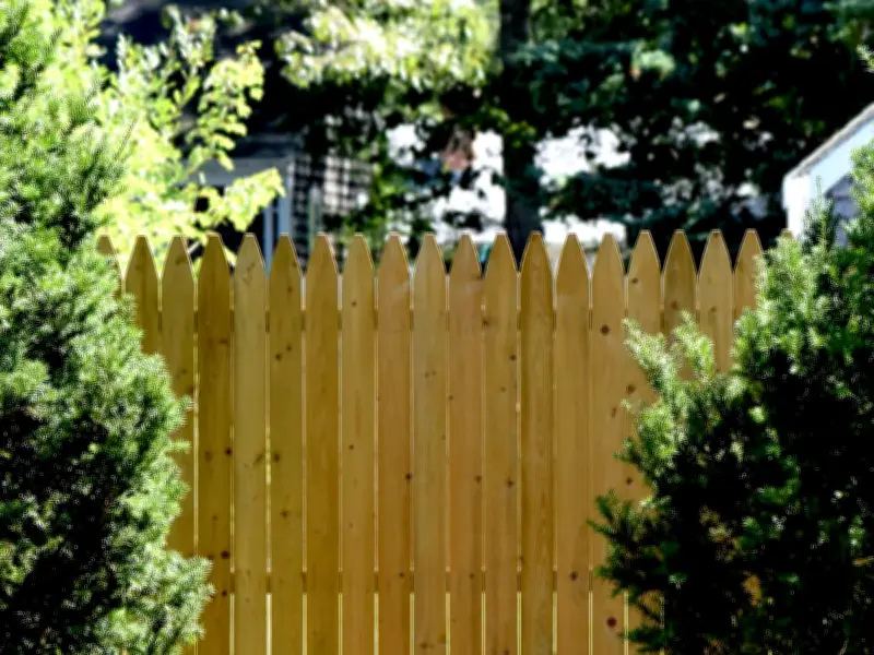 Man's Five-Year Revenge on Entitled Neighbour Goes Viral
